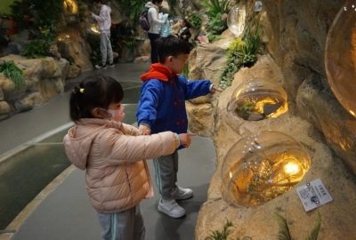 DSC04373-1024x682
