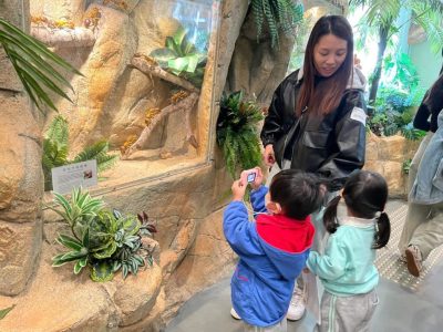 幼兒班、低班體驗活動24-25