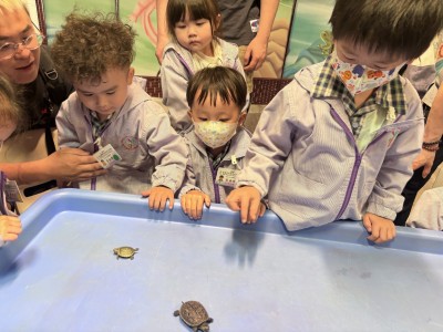 幼兒班參觀活動─金魚探索館24-25