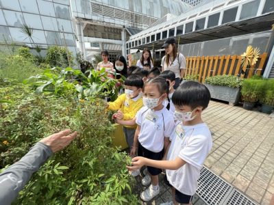  Upper class thematic activities ─ Green Education and Resource Centre23-24